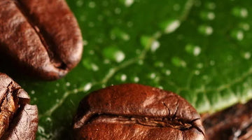 Organic instant coffee contain any allergens?