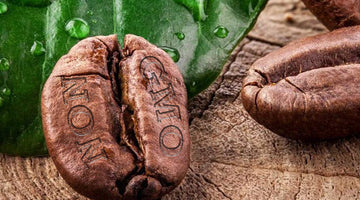 Is your 100% Organic instant coffee Non-GMO?